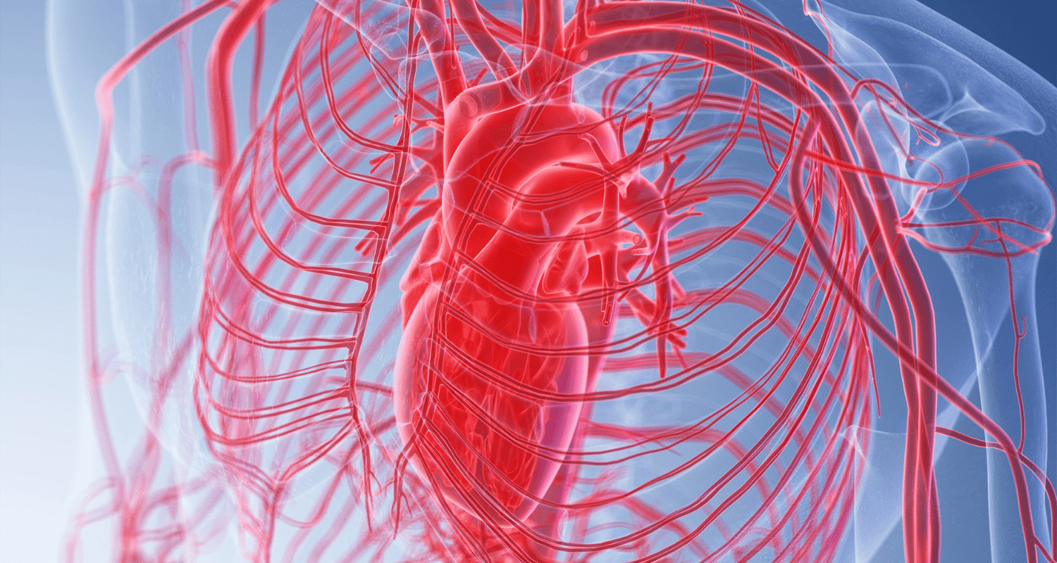 Homocysteine and Heart Disease Risk