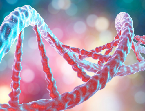How to Prevent Hereditary Stroke: Managing Genetic and Family Risk