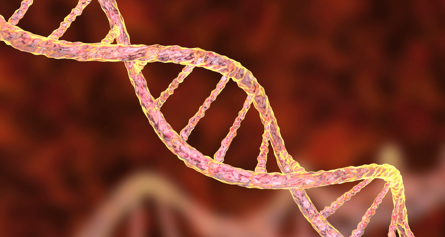 How to Prevent Hereditary Stroke